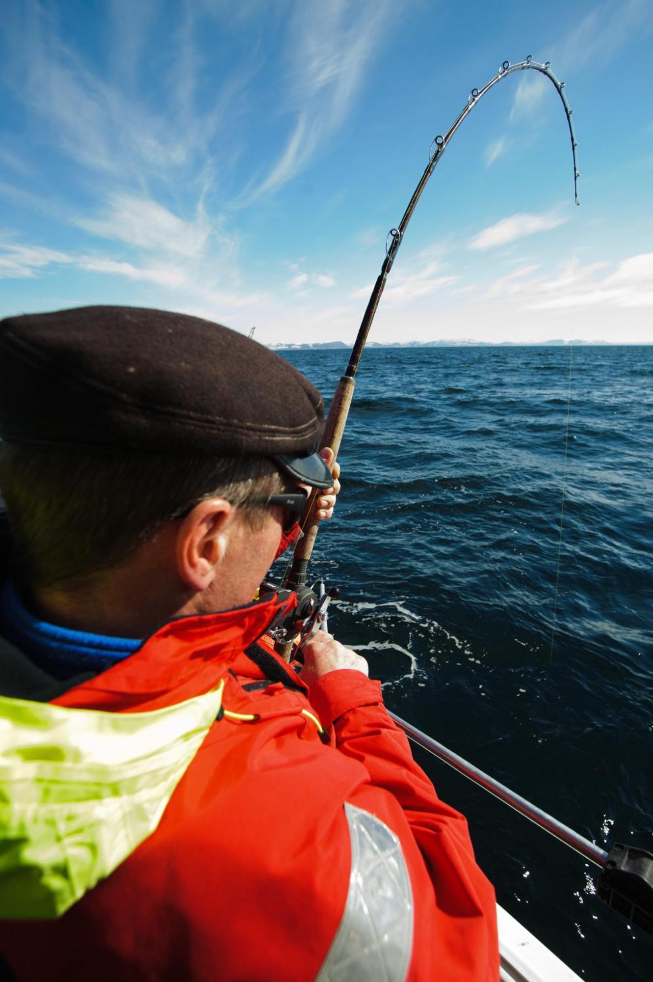 Adventure Camp Mehamn Hotell Eksteriør bilde